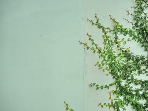 Sage London Counselling